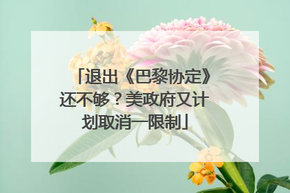 退出《巴黎协定》还不够？美政府又计划取消一限制